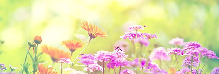 EłЂƂ́ủł肪Ƃ@v LЁ@[u R~ƕ]Bw̓R`I