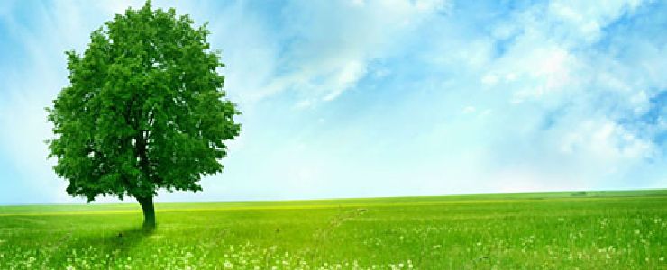 {̃X[g[jOFȂAؓAbӂ܂{̃X[g[jOAƃC[WŎۂ͌ʂ̖ؓg[jO͏I  X[g[jO R~ƕ]Bw̓R`I